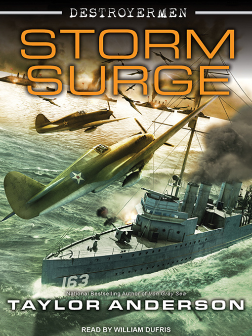 Title details for Storm Surge by Taylor Anderson - Available